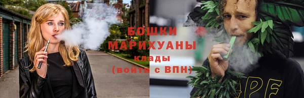 прущие грибы Абаза