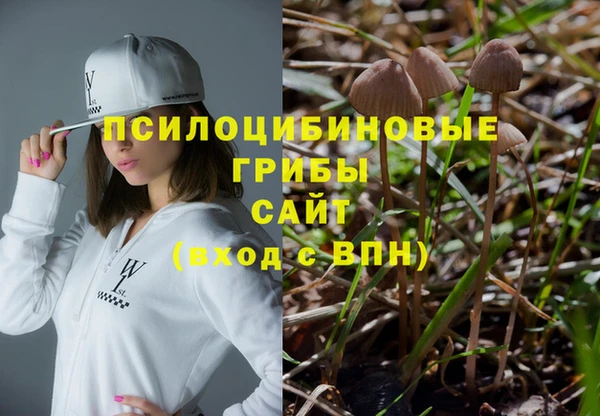 прущие грибы Абаза