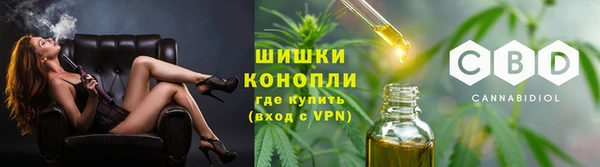 прущие грибы Абаза