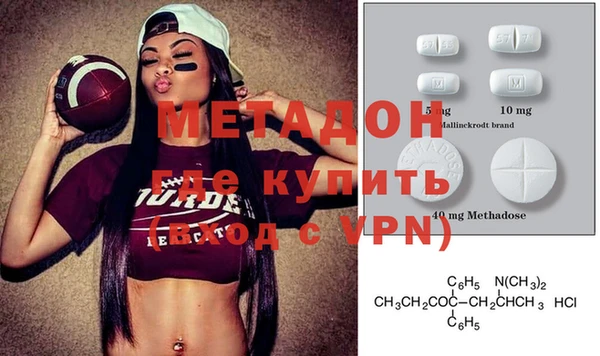 прущие грибы Абаза