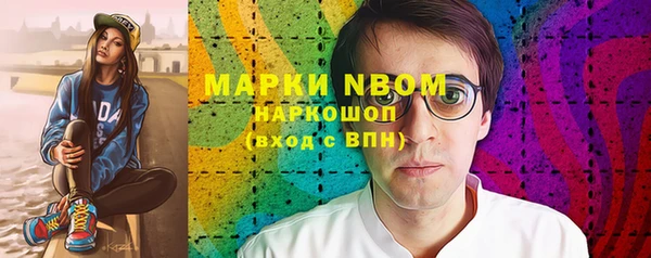 прущие грибы Абаза