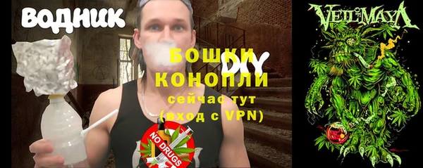 гидропоника Алзамай