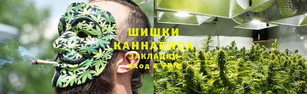 гидропоника Алзамай